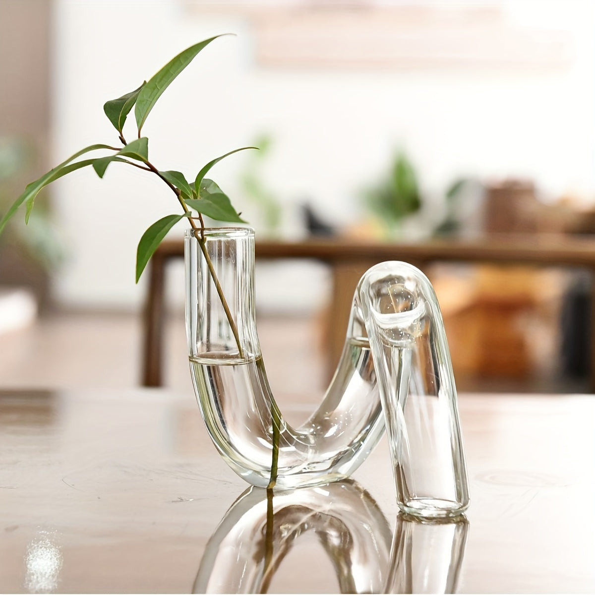 1pc Bohemian Style Glass Vase - Unique Curved Design for Hydroponic Plants, Perfect for Home & Office Decor, Ideal Gift