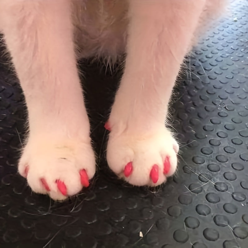 100-Pack Colorful Cat Nail Covers - Keep Your Cat's Paws Safe & Stylish!