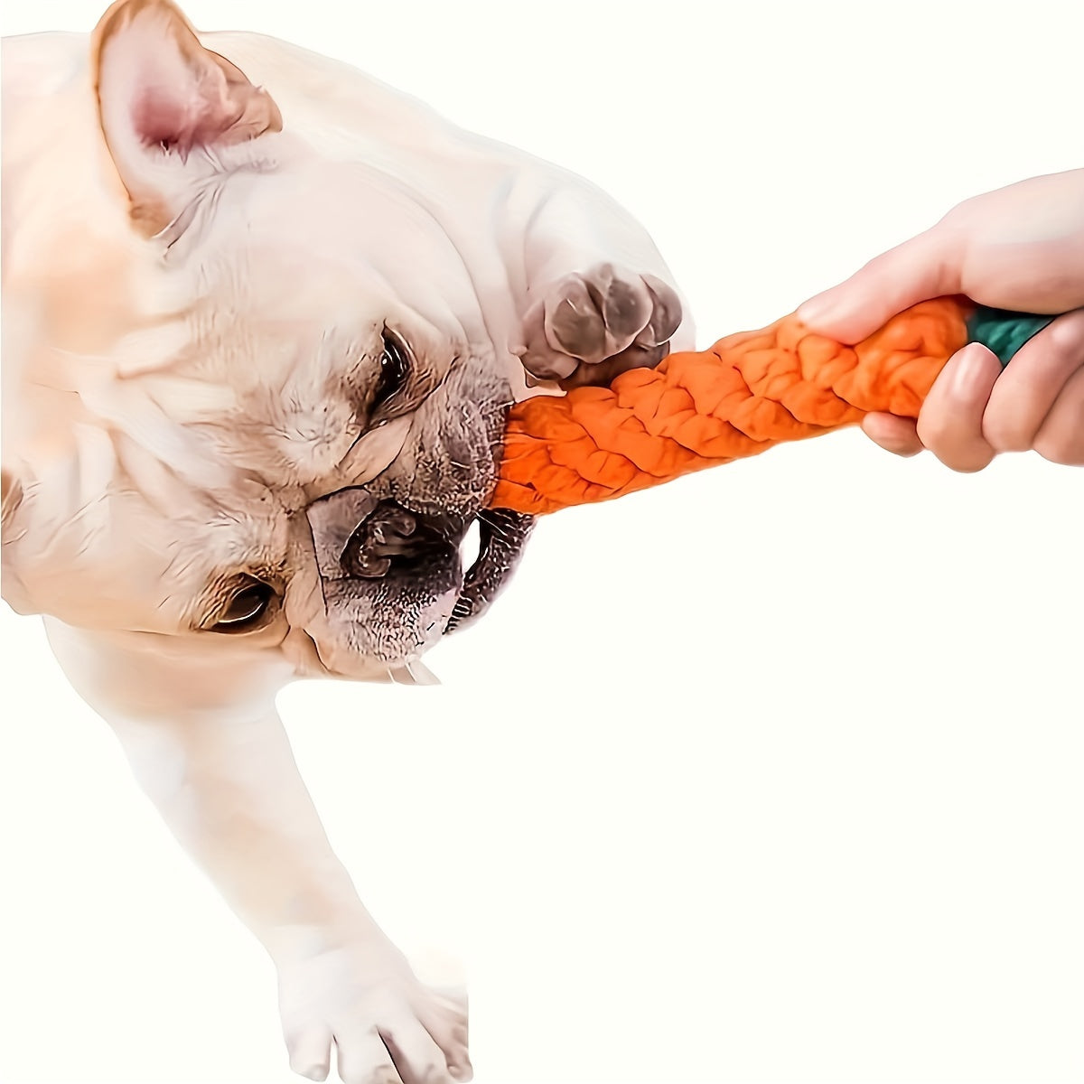11pcs/16pcs Dog Chew Toys Bundle, Durable Plush and Rope Materials, Tooth Cleaning & Interactive Play, Assorted Food-Shaped & Rope Designs, Suitable for Small Dogs & Puppies