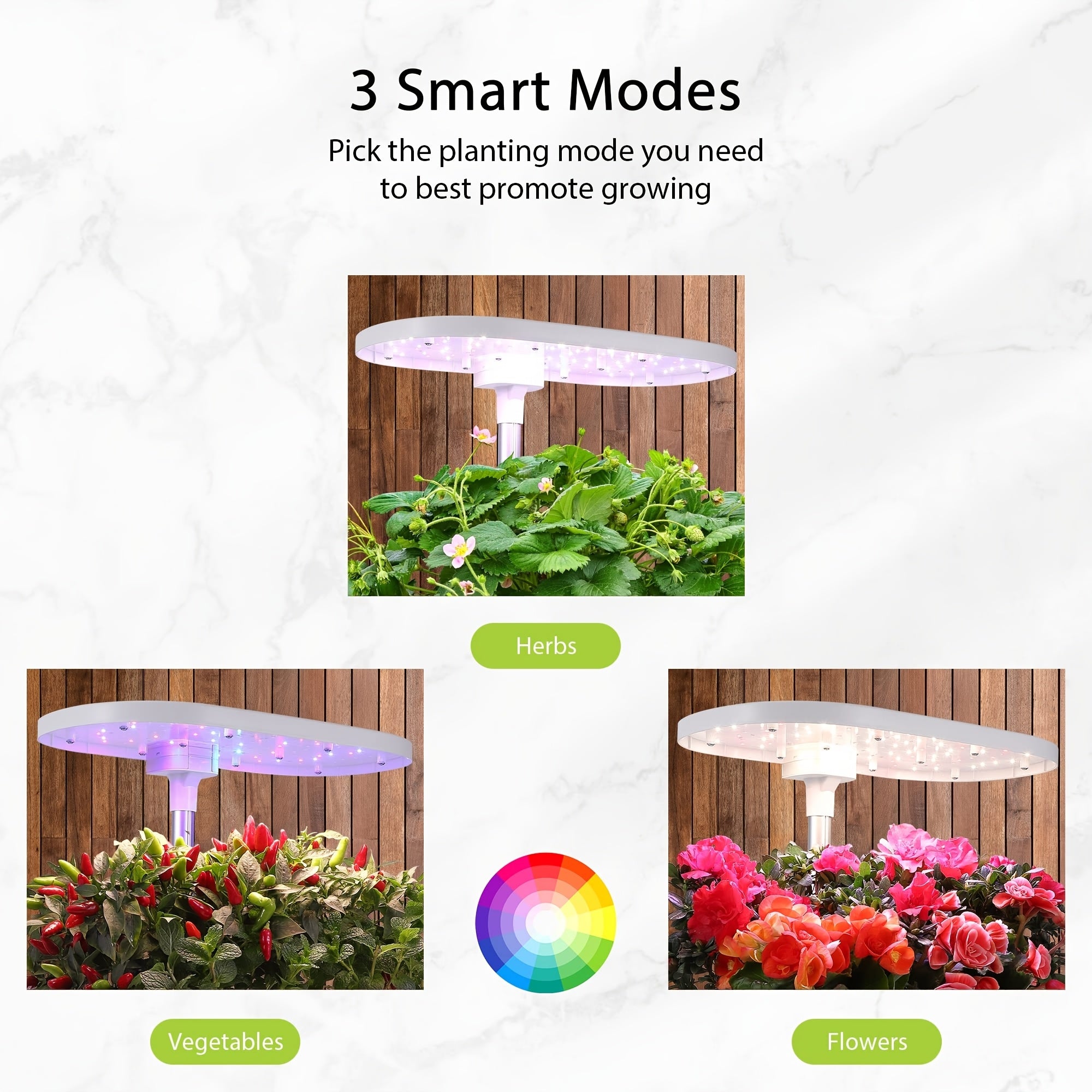 12-Pod Hydroponic Growing System Kit - 16" Indoor Garden with Full Spectrum LED Lights (120pcs, 5 Colors), Automatic Timer for Home & Kitchen Gardening, 24W, Indoor Garden, MERXENG