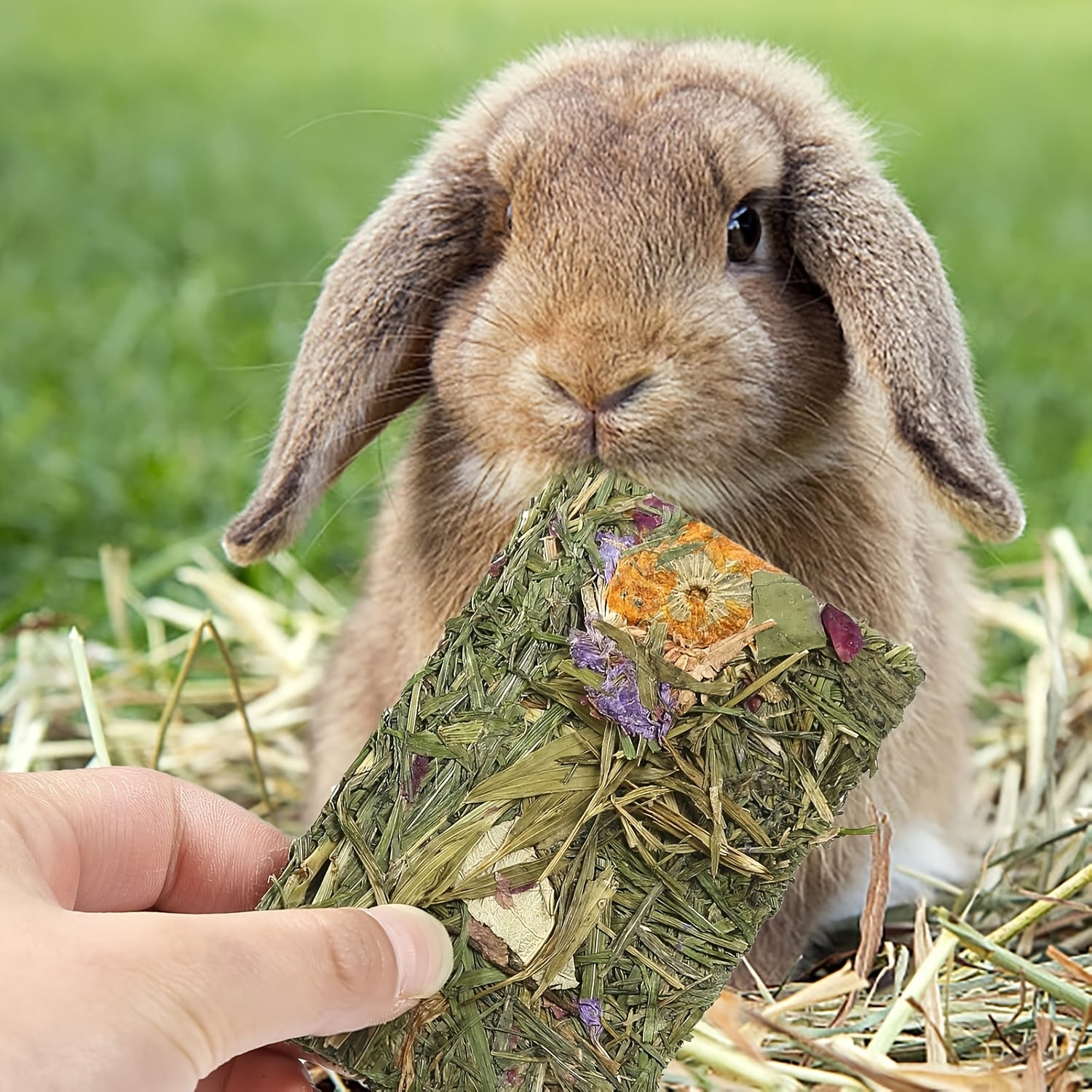12 PCS Rabbit Timothy Hay Chips Toys, Natural Bunny Molar Treats With Herbal Flowers Rabbit Chew Toys For Teeth Small Animal Snacks For Rats Chinchillas Hamsters