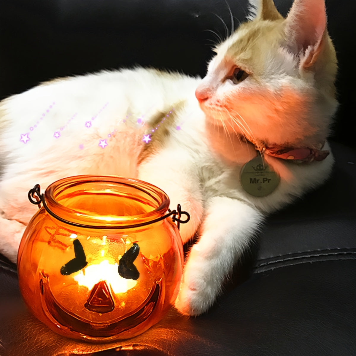 "Harvest Moon" Halloween Party Essentials: 6.42oz Pumpkin-Themed Glassware Set - Includes Dessert, Beverage, Cocktail Cups & Hydroponic Planter - Perfect For Home Decor & Gatherings