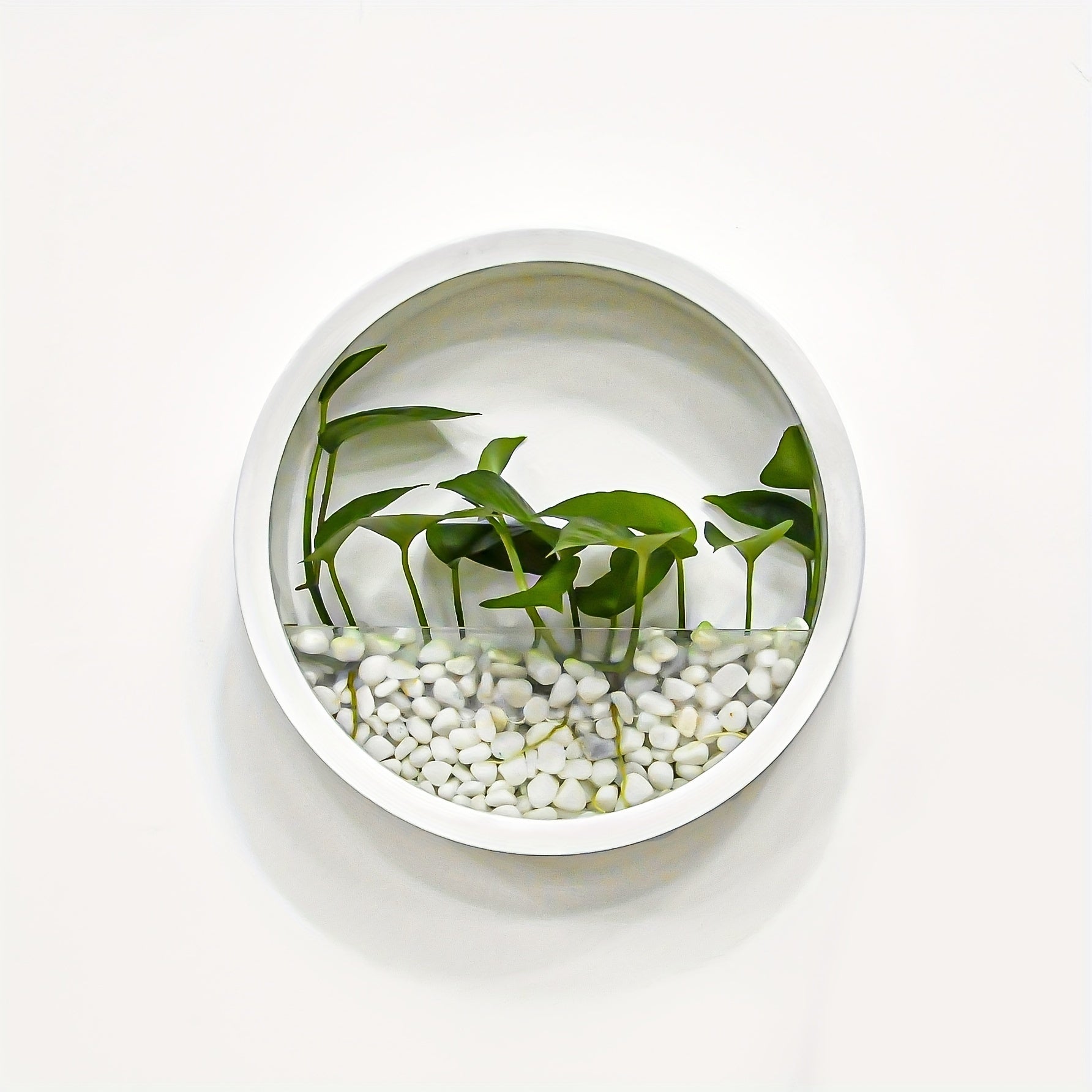 1pc Artistic Wall-Mounted Round Planter, Decorative Plastic Vase for Hydroponic Plants, Self-Watering Succulent Holder, No Battery Required, Modern Home Decor