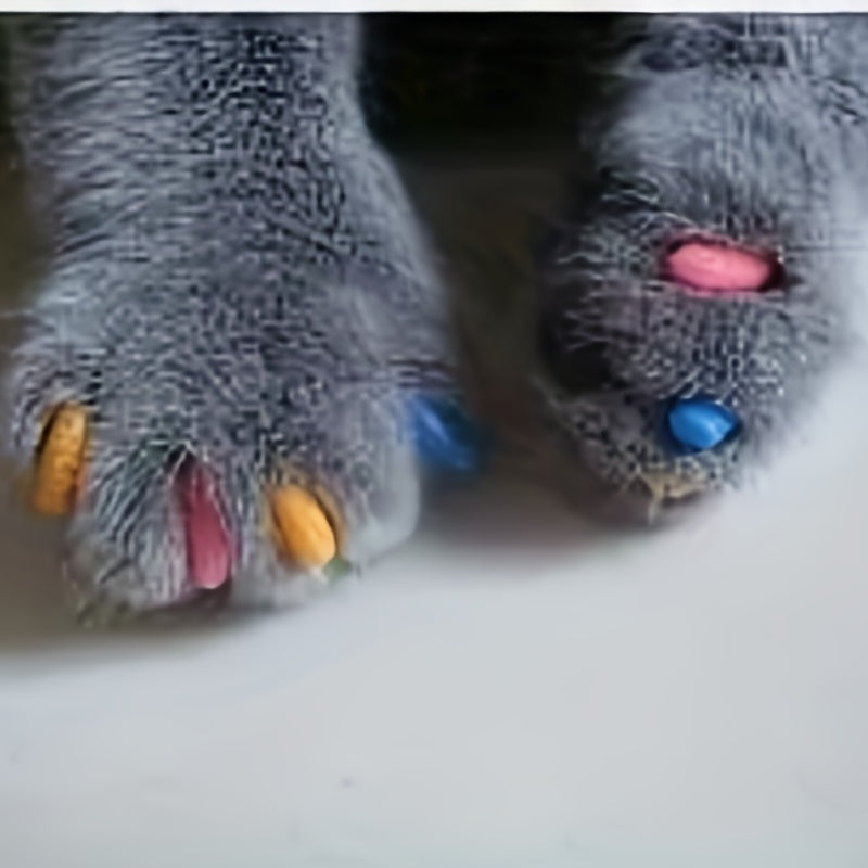 100-Pack Colorful Cat Nail Covers - Keep Your Cat's Paws Safe & Stylish!