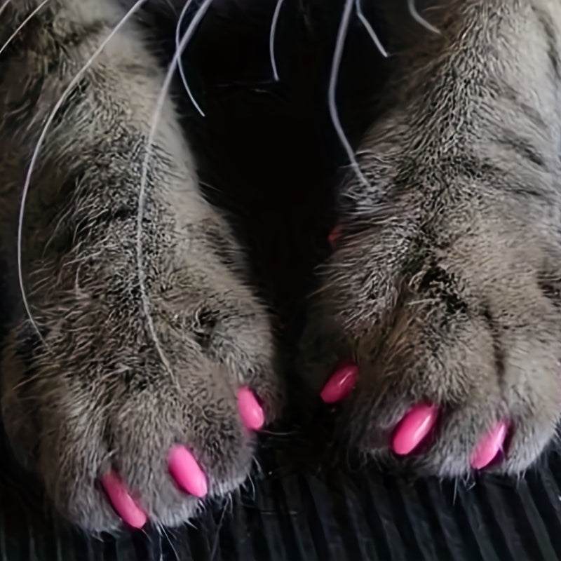 100-Pack Colorful Cat Nail Covers - Keep Your Cat's Paws Safe & Stylish!