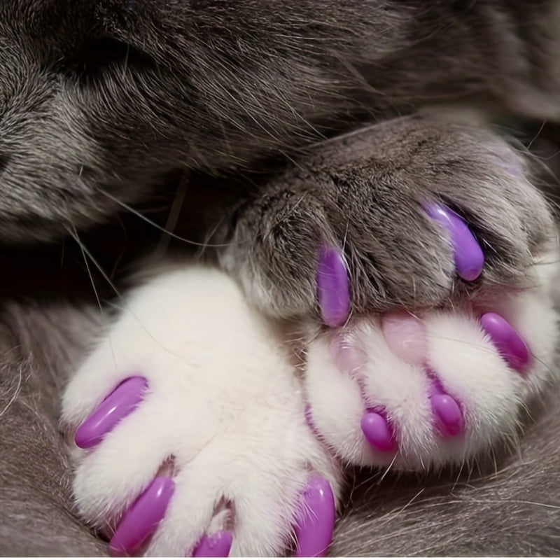 100-Pack Colorful Cat Nail Covers - Keep Your Cat's Paws Safe & Stylish!