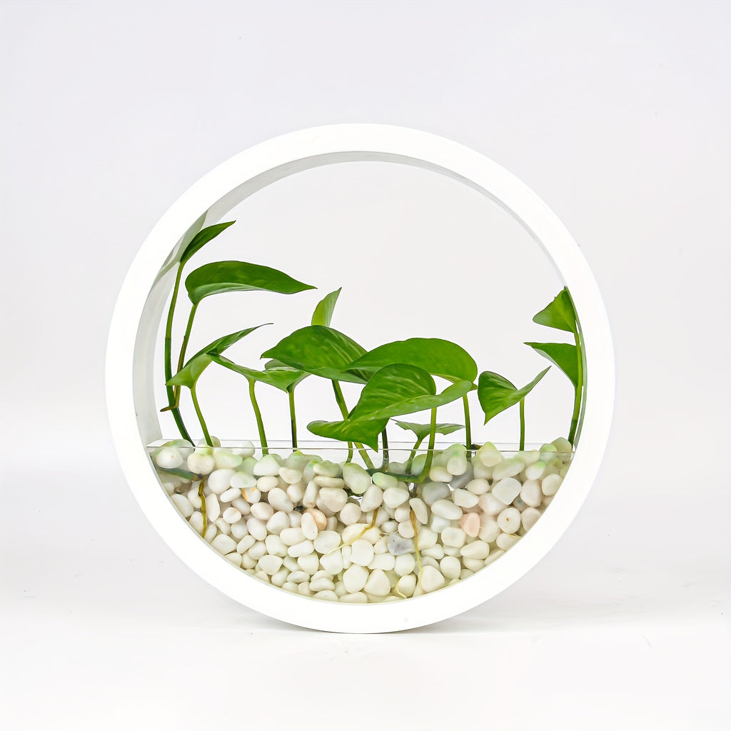 1pc Artistic Wall-Mounted Round Planter, Decorative Plastic Vase for Hydroponic Plants, Self-Watering Succulent Holder, No Battery Required, Modern Home Decor