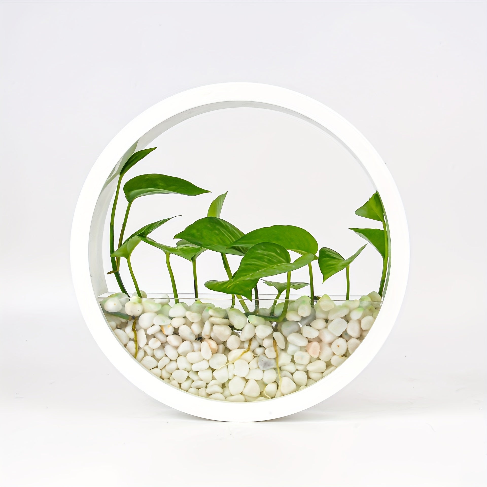 1pc Artistic Wall-Mounted Round Planter, Decorative Plastic Vase for Hydroponic Plants, Self-Watering Succulent Holder, No Battery Required, Modern Home Decor